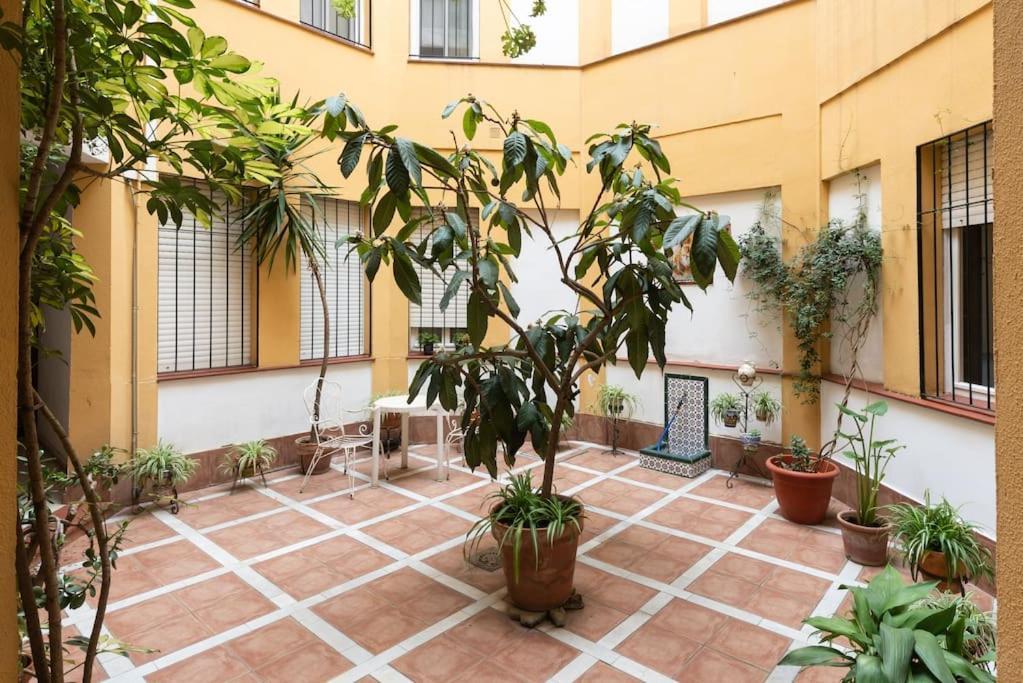 Mia Suite. Center Of סביליה מראה חיצוני תמונה